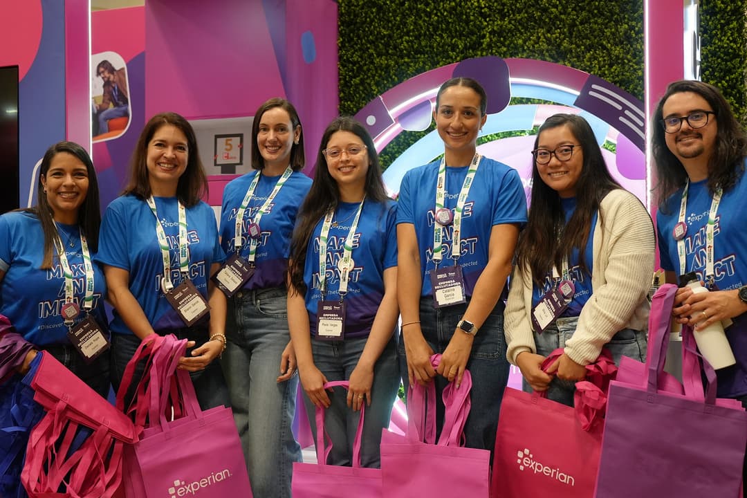 Experian company profile